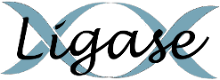 Logo Ligase